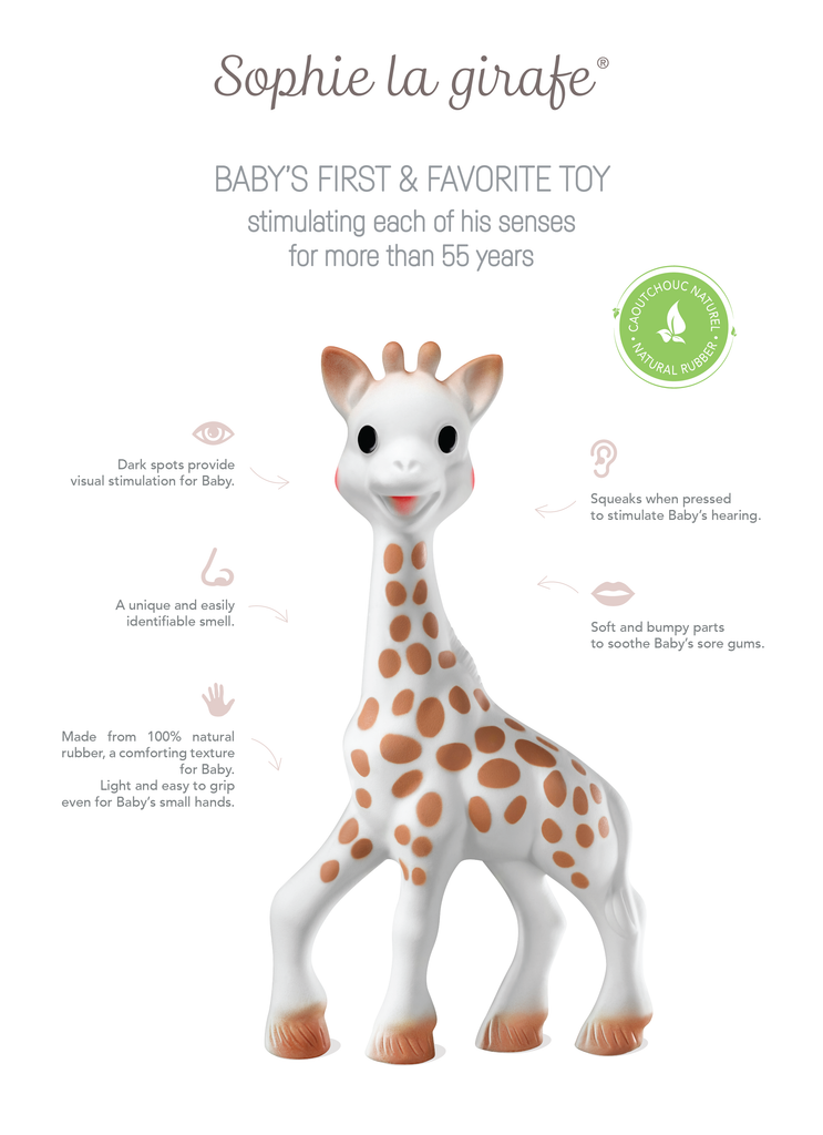 Infographic describing sophie the giraffe sensory design