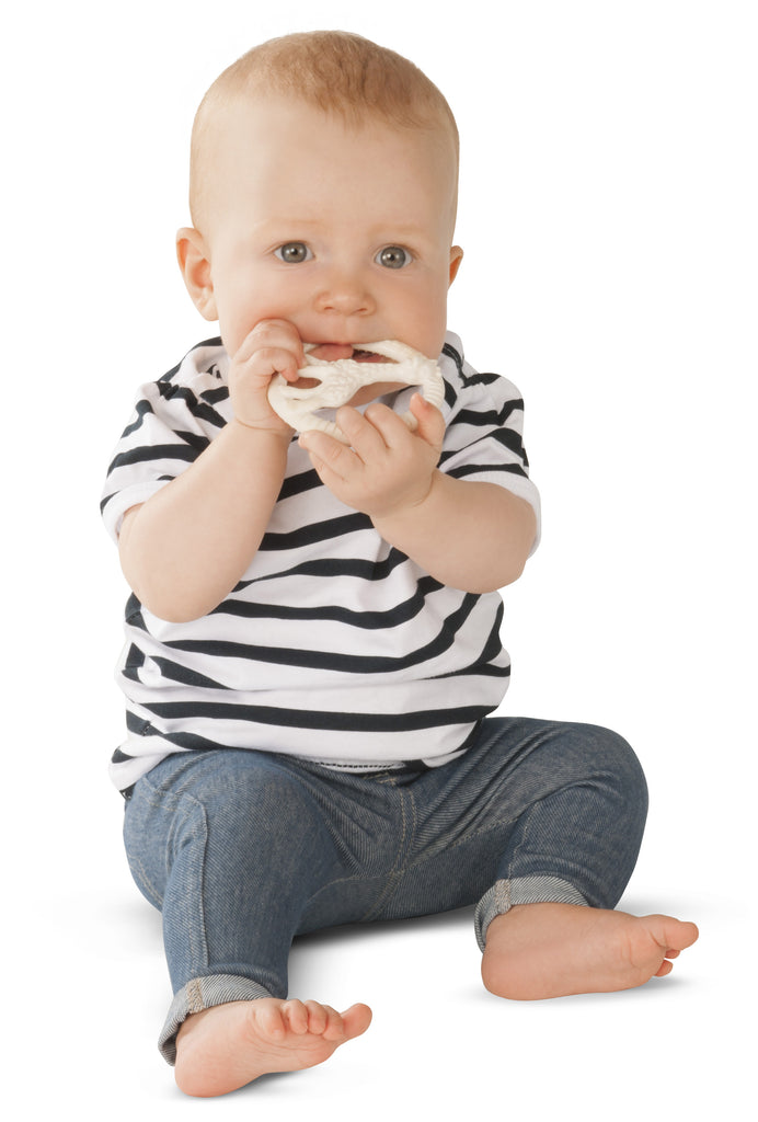 Baby teething on sophie so'pure circle teether