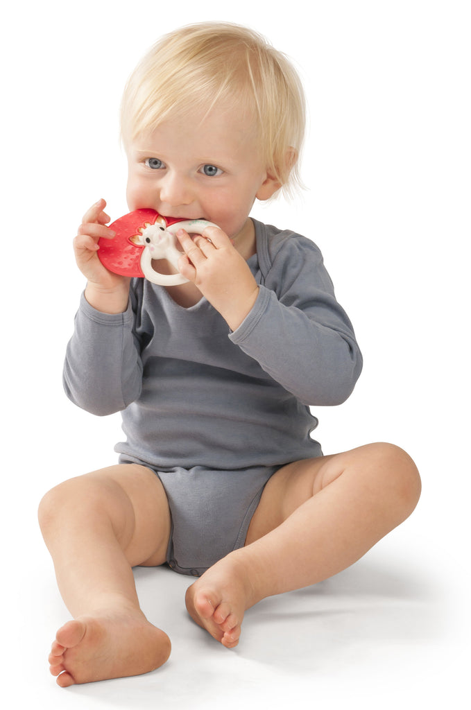 Smiling baby teething on sophie the giraffe red teething rattle